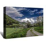 A beautiful view of a country road landscape paintings canvas printed photo decoration home wall luxury for living room decor