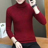 Warm Turtleneck Sweater Men  Pull Homme Casual Pullovers Male Outwear Slim Knitted Sweater