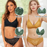 Popular Lace Sexy Panty and Bra Set Push-up Embroidery Bralette Lingerie Free Size Women Lace Underwear Set