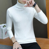 Warm Turtleneck Sweater Men  Pull Homme Casual Pullovers Male Outwear Slim Knitted Sweater