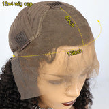 Brazilian Human Hair Lace Front Wig with Baby Hair Silky Straight 5x5 Closure Wig