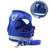 Cat Harness And Leash Set