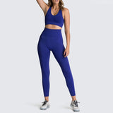 Sportswear Workout Seamless Sports Suits