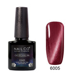 Cat Eye Gel Nail Polish 46 Colors