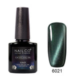 Cat Eye Gel Nail Polish 46 Colors