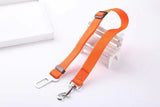 Pet Vehicle Seat Belt