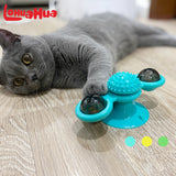 Cat Windmill Toy Funny Massage Rotatable Cat Toys With Catnip LED Ball Teeth Cleaning Pet Products for cat health wholesome